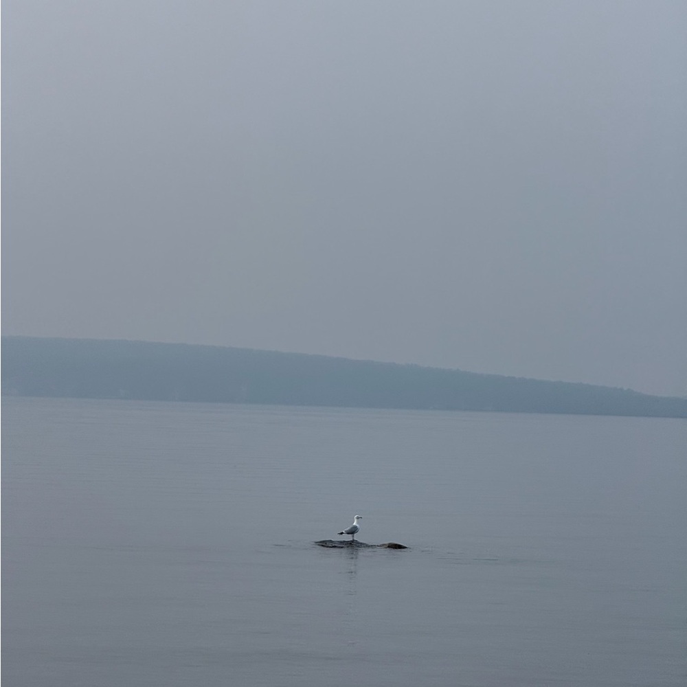 Meet your Posher, Gigi